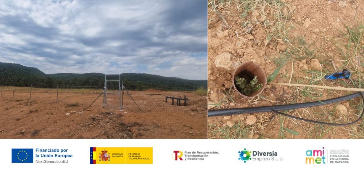 Imágenes del Vallado y Riego del Campo de Trufas en Campus Diversia