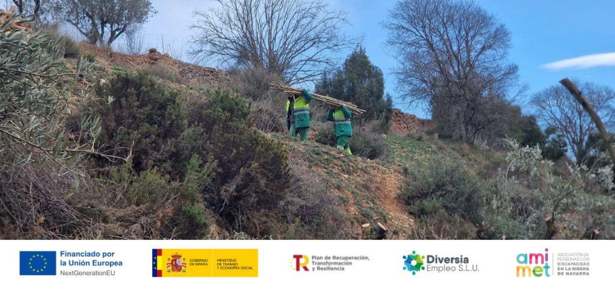 Personas trabajando en el Campus Diversia