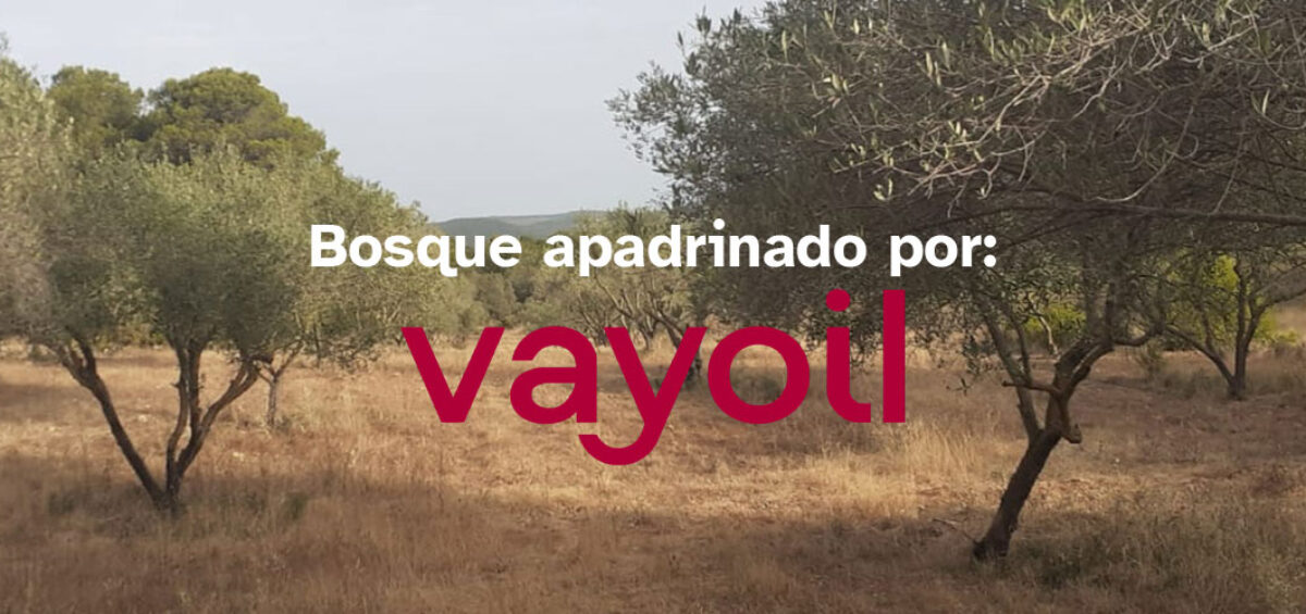 Vayoil Textil apadrina un bosque en Campus Diversia